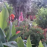 Bykara Hotel Side