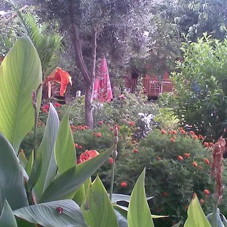 Bykara فندق سيدي