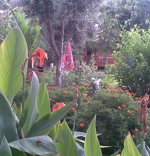 Bykara מלון סייד